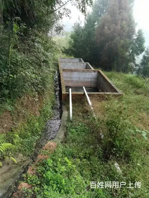 (达州铺源网)宣汉县芭蕉镇花生村7000㎡养猪场地出租 - 图片 3