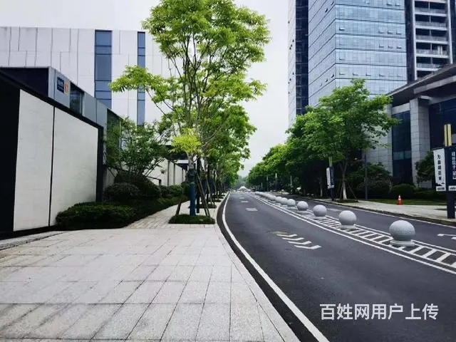 银湖科技城富春硅谷独栋商办，产证1800方送1千1百方院精装 - 图片 12