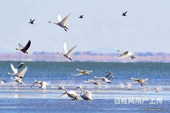 克旗经棚镇出租车摄影旅游 - 图片 2