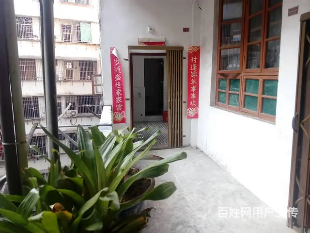 青年大厦北出租房：人民医院东毓秀北路女人街西 - 图片 2