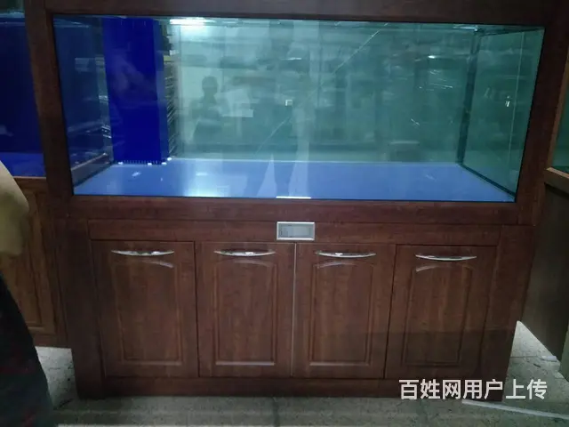 苏州哪里卖鱼缸，哪里有做鱼缸养护清洗的 - 图片 6