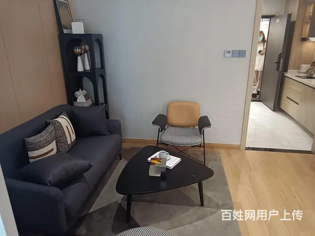 环球港旁百兴芝荟时光，地铁口旁，恐龙园旁均价8000多小公寓 - 图片 9