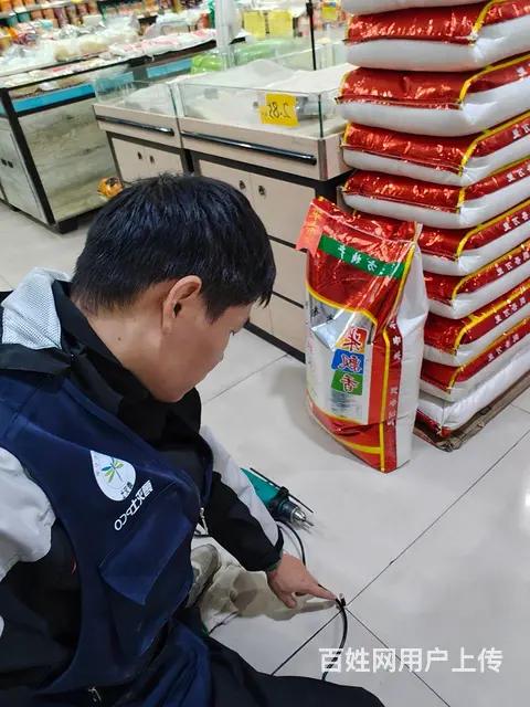 上门除虫灭鼠灭蟑螂灭白蚁抓老鼠 - 图片 9
