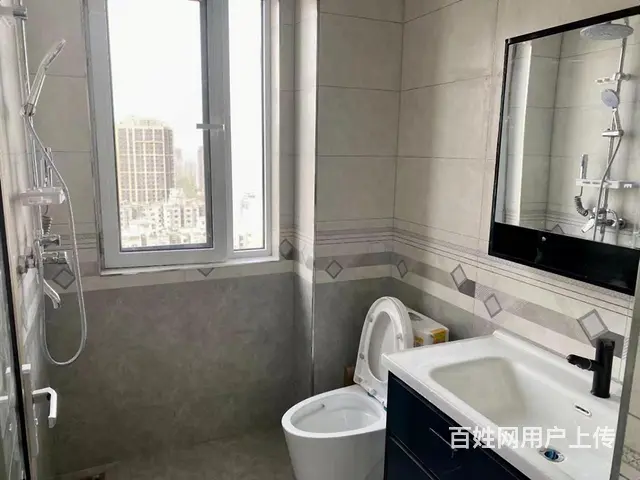 马克公寓 1室1厅1卫 电梯房 南北通透 精装修 拎包入住 - 图片 9