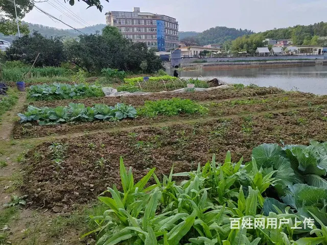 （老板本人）岳麓区含浦附近王家湾仓库住房菜地低价出租6321 - 图片 8