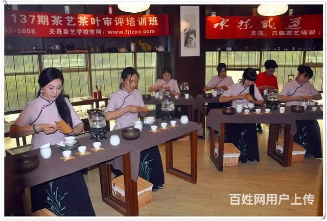 中国茶学系统培训班 学什么？ - 图片 10