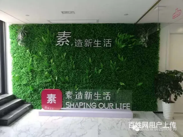 素店APP_素店分享会赚钱吗_羽玲导师 - 图片 5