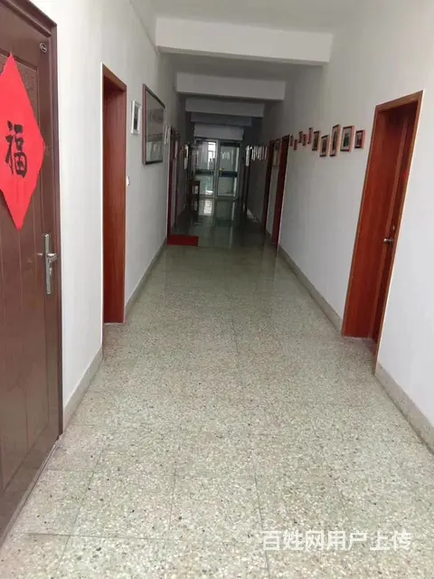 高区文化路体育局精装办公配套475平写字楼出租 - 图片 2
