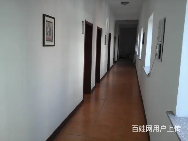 出租房屋位于青山区自由路与文学道 - 图片