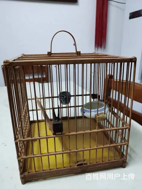 绣鸟专用笼子出售 - 图片 6