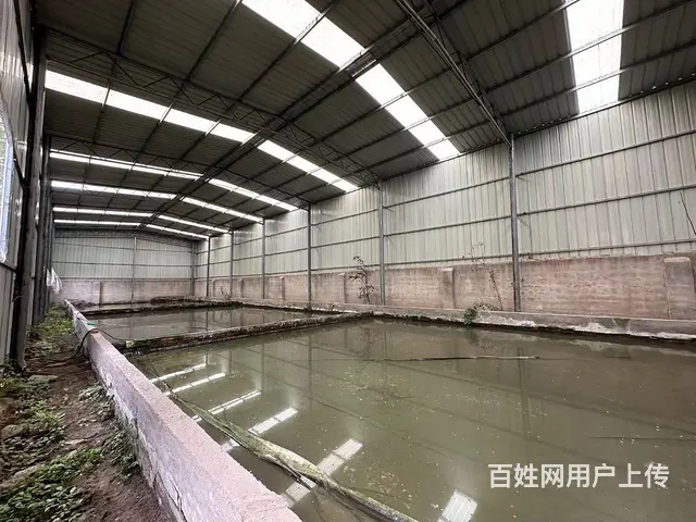 （徐州找店网）大庙独门独院厂房仓库养殖场出租 - 图片 3