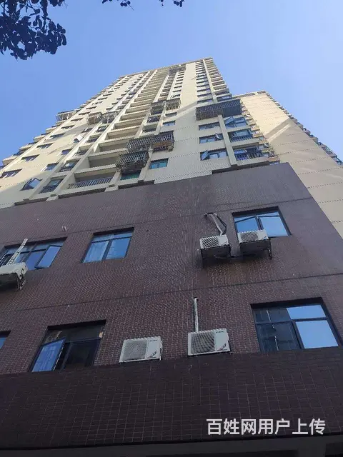 诚丰嘉座,~~干净清爽1室 ,看房方便，价格便宜 - 图片 12
