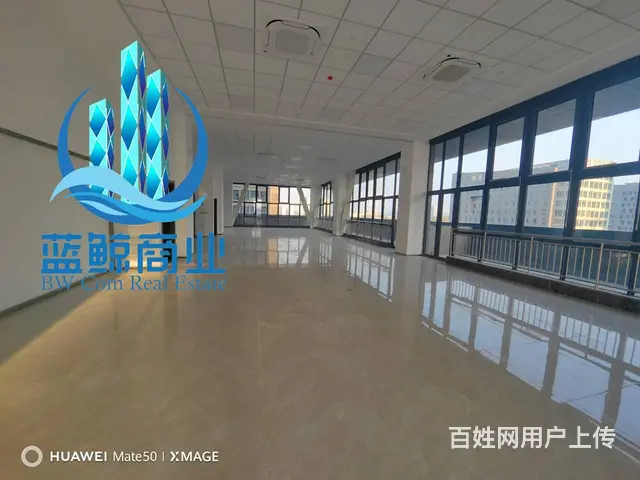 金开区软件园1000平整层办公楼出租 - 图片 9