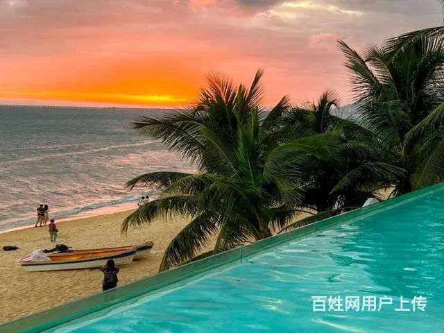 （51旺铺推荐）马岭400平一线海景泳池餐厅出租 - 图片 8