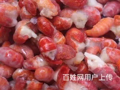 渭南冷冻新鲜龙虾尾厂家直供电话鑫慷发龙虾尾批发全国供货服务 - 图片 2