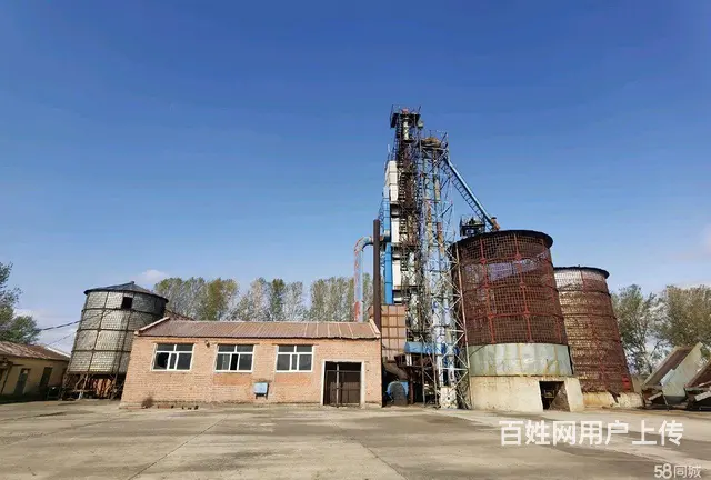 呼兰城区长岭镇厂房出售 - 图片 6