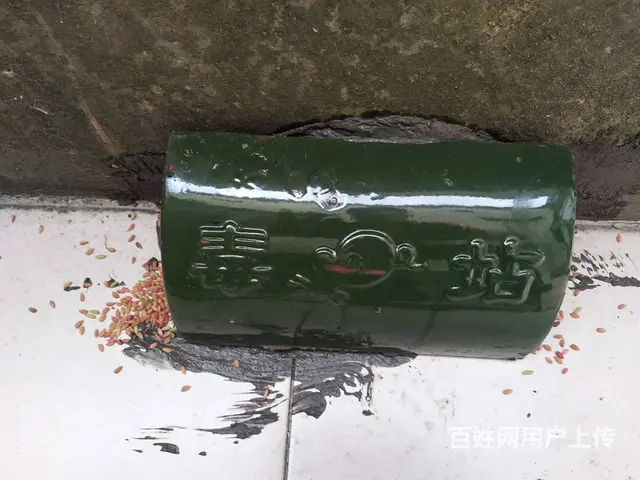 双峰专业灭白蚁灭蟑螂灭老鼠 - 图片 6