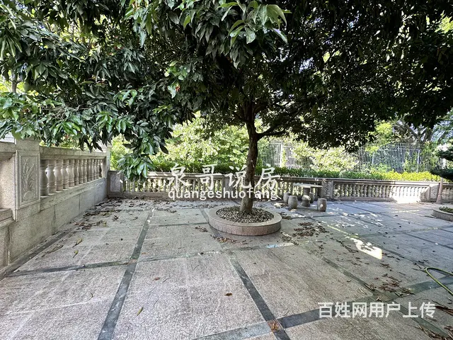 凤鸣苑两层豪装小独栋 加建茶室临湖 花园可垂钓 家 - 图片 12