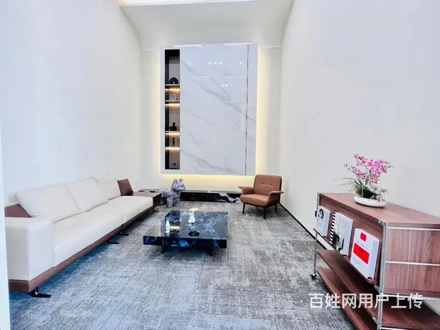 星耀城 2期，全新豪华装修 ，6米挑高，双地铁口，家具配齐全 - 图片 4