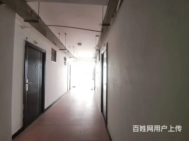 忠信新苑 普通住宅1厅 精装修 - 图片 2