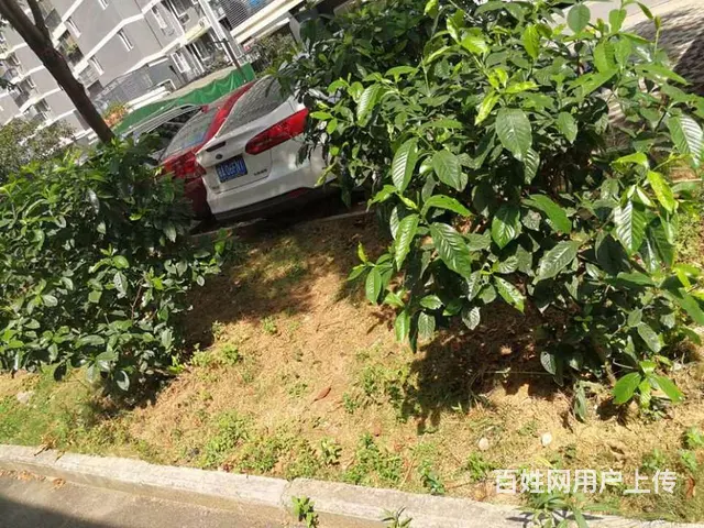 4号线铁机路站 东沙花园 独立电表 楚河汉街 岳家 - 图片 9