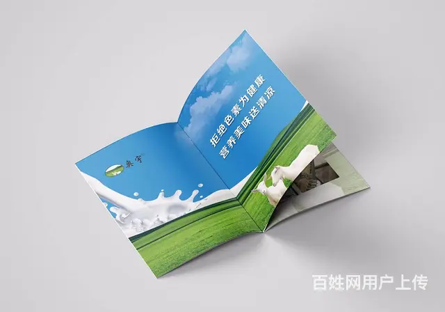 企业平台招商手册设计，精品画册设计制作 - 图片 9