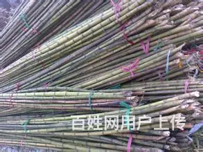 毛竹片,方木,模板,钢笆片大刀片等建筑材料 - 图片 3