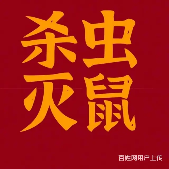 专业除甲醛，灭四害 - 图片 3