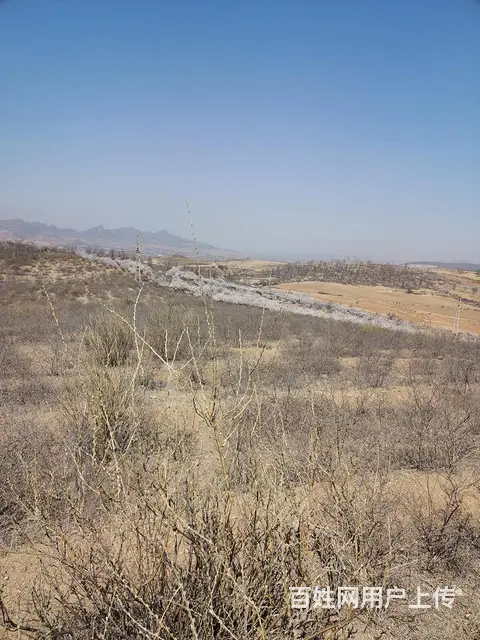 出售荒山25万 - 图片 4