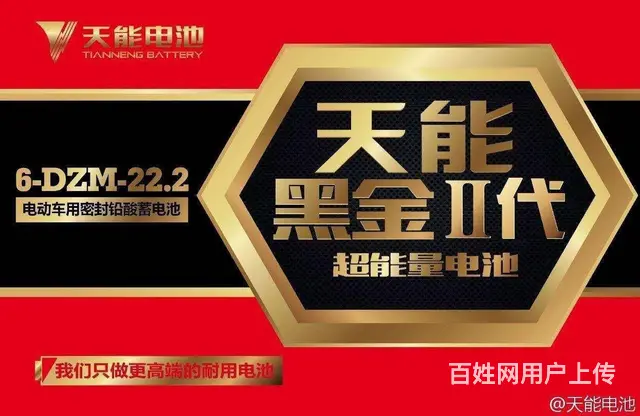 大庆学伟绿色家园小区附近批发电动车 - 图片 10