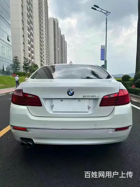 宝马5系 2014款 525Li 2.0T 手自一体 豪华设 - 图片 9