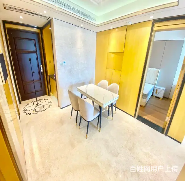 朗诗乐府豪装2房打铁关杭氧新德佳苑现代景苑万科新都会 - 图片 5