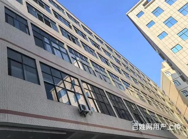 D9 I59 O5O9 6588罗山街道后林延林东路厂房 - 图片 2