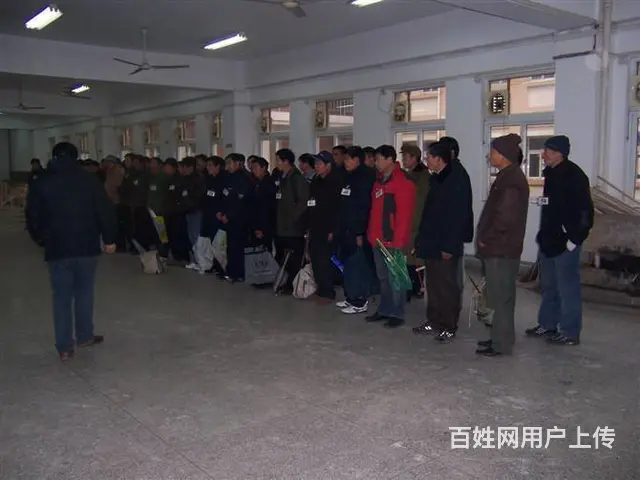月嫂/保姆出国年入六十万 - 图片 8