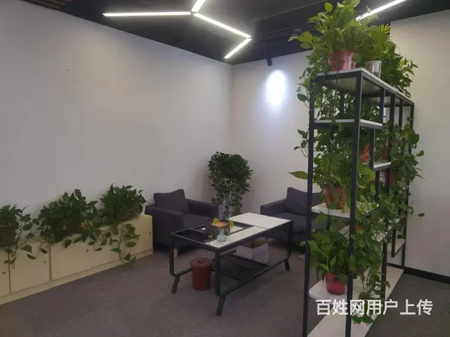 云狐科技园，滨江直播基地，精装出租30至600方，多套可选！ - 图片 7