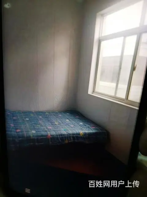 汇丰三村104号整套出租 - 图片 7