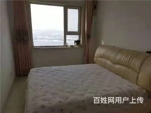 昌邑区政府附近240平门市出租，另有楼房出售 - 图片 7