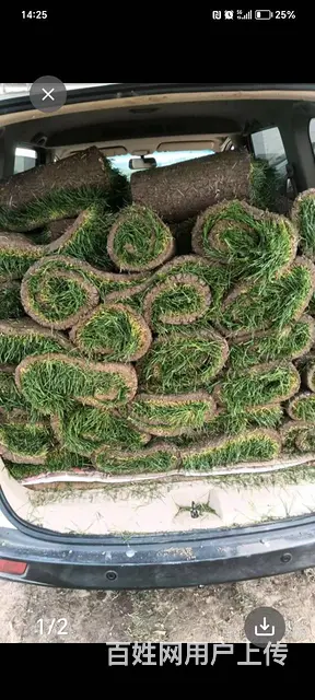 洛阳孟津自产草坪浪漫宿营地烧烤 - 图片 1