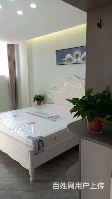 莱茵河畔 3室2厅1卫 精装修 - 图片 4