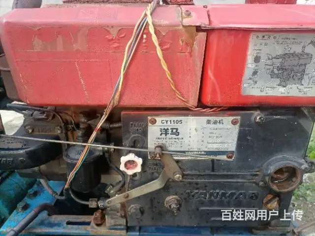转让洋马18匹 - 图片 2
