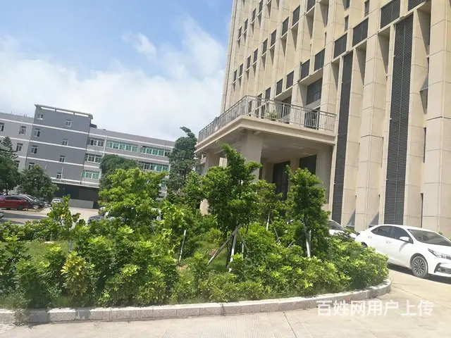 南屏屏西路独门、独院厂房 - 图片 1