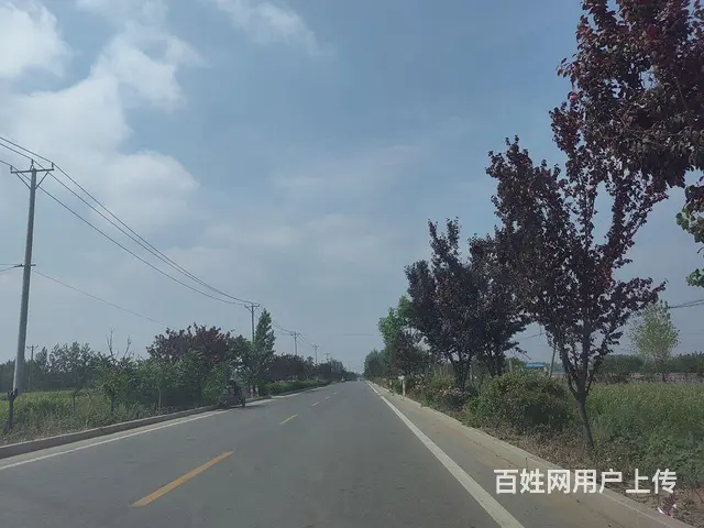临沭县青云镇钢结构厂房出租 - 图片 1