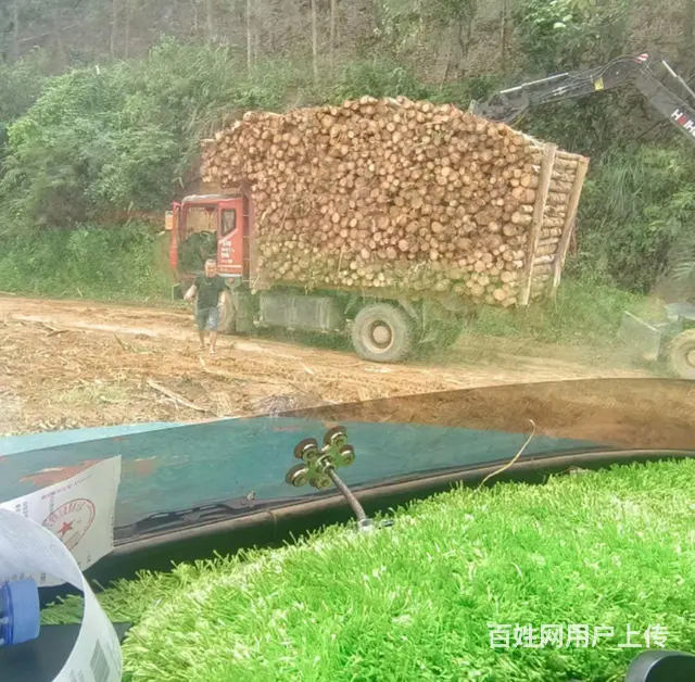 17年东风蓝牌自卸车，拉木神器 - 图片 8