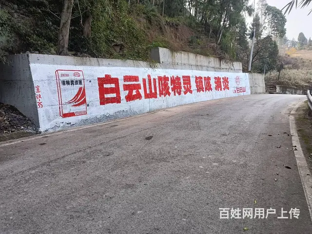 东莞墙体广告 金华墙贴广告 贵港墙体喷绘广告安装 - 图片 2