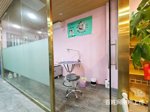 （老板本人）成熟小区连锁宠物店转让（可空转） 6252 - 图片 4