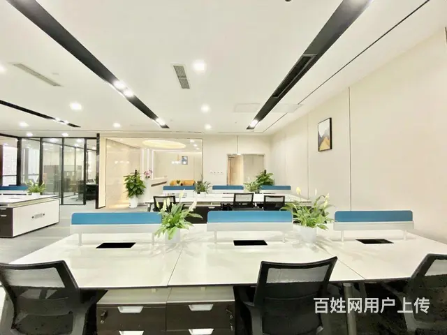 招商！世贸，楼下就是，户型方正，急租。 - 图片 8