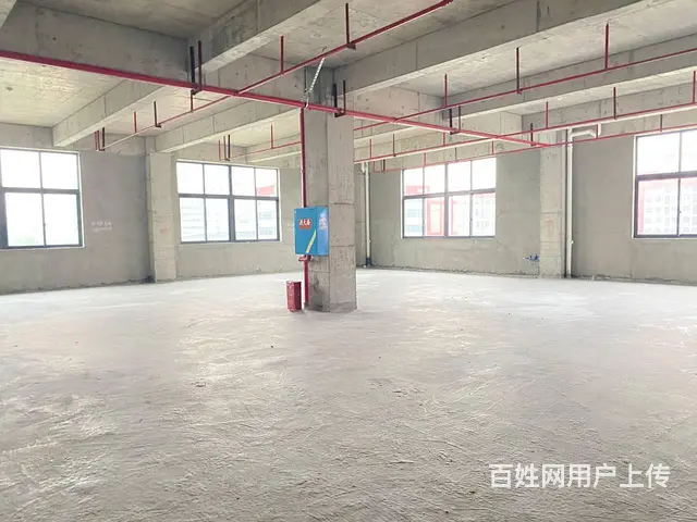 （房东直租）中青路佳海园区775平厂房优价出租，可分租 - 图片 7