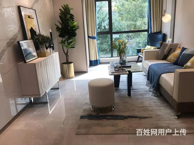 龙湖春江彼岸89两室两厅电梯洋房 - 图片 4