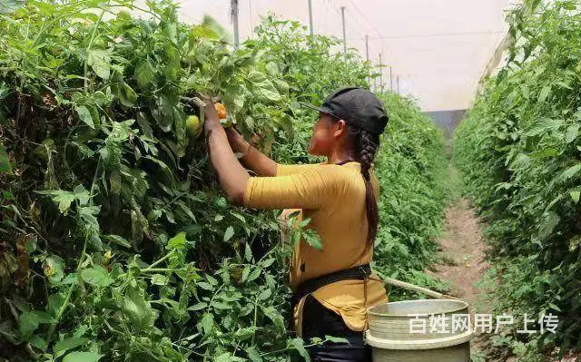 办理出国劳务工作签证申请申请 欢迎咨询 - 图片 6