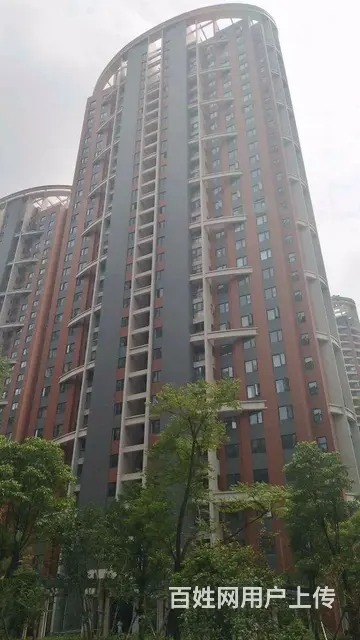 蓝晶绿洲 小三房 山河大厦曲水兰亭 8号线岳家嘴 - 图片 12